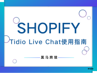 <二十三>Tidio Live Chat使用指南