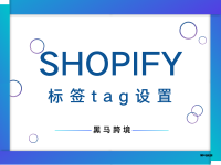 <十一>Shopify标签Tag设置